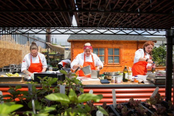 03-top-chef3.w600.h400